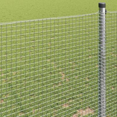 Gelaste draadhek Zilver 0.5 x 100 m Staal