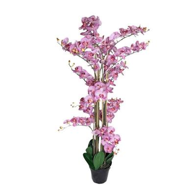 Phalaenopsis Orchidee in pot 140 cm Tiger Cerise kunstplant Buitengewoon de Boet - Buitengewoon de boet Phalaenopsis Orchidee in pot 140 cm Tiger Cerise kunstplant Buitengewoon de Boet - Buitengewoon de boet