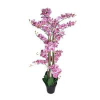 Phalaenopsis Orchidee in pot 140 cm Tiger Cerise kunstplant Buitengewoon de Boet - Buitengewoon de boet - thumbnail
