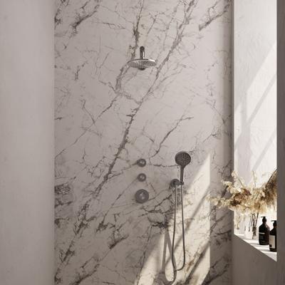 Inbouw Regendouche Set met 20 cm Douchekop en Handdouche