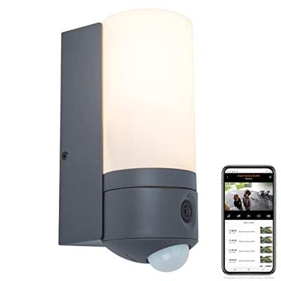 Buitenlamp Voordeur met camera Lutec &apos;Pollux&apos; beveligingslamp led 24 cm
