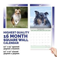Shetland Sheepdog Kalender 2026 - thumbnail