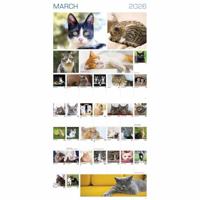 365 Dagen Katten Kalender 2026 - thumbnail