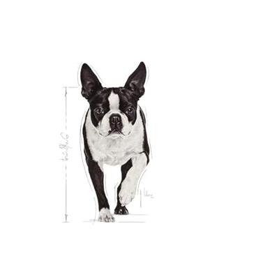 Royal Canin Relax Care natvoer hondenvoer zakjes 12x85g