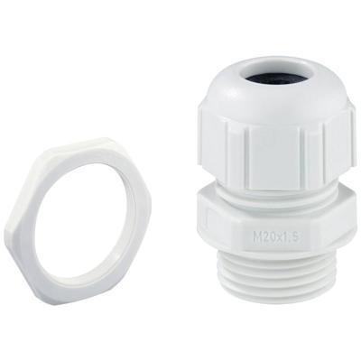 Spelsberg 22744001 Wartel Slagvast, Met trekontlasting, Met borgmoer M40 Kunststof Lichtgrijs 1 stuk(s) Spelsberg 22744001 Wartel Slagvast, Met trekontlasting, Met borgmoer M40 Kunststof Lichtgrijs 1 stuk(s)