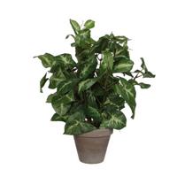 Kunstplant mica syngonium groen in pot - thumbnail