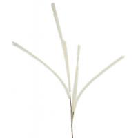 Countryfield kunsttak met 6 pluimen crème 112 cm | 24 stuks - thumbnail