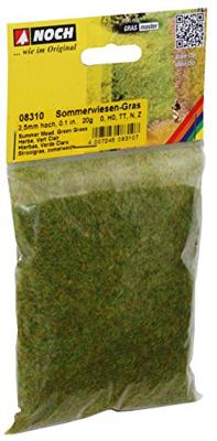 NOCH 8310 Strooigras Zomer weide Groen (gemiddeld)