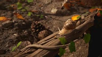 Empire of the Ants Limited Edition - thumbnail