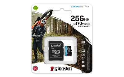 Kingston Technology Canvas Go! Plus 256 GB SD UHS-I Klasse 10