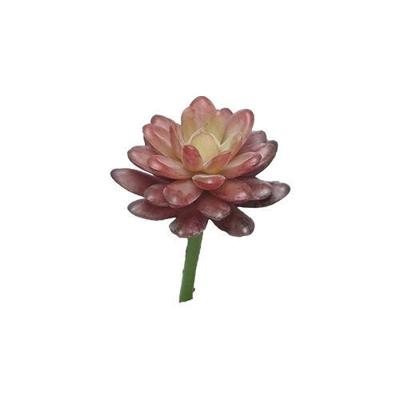 Kunst Sedum pick bordeaux - 16 cm Kunsttakken Nova Nature - Nova nature Kunst Sedum pick bordeaux - 16 cm Kunsttakken Nova Nature - Nova nature