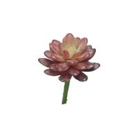 Kunst Sedum pick bordeaux - 16 cm Kunsttakken Nova Nature - Nova nature - thumbnail