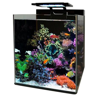 Bm reef 90 aquarium Blue Marine Aquadistri - Aquadistri