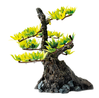 Deco bonsai xs