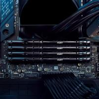 Kingston FURY Beast Werkgeheugenmodule voor PC DDR5 32 GB 1 x 32 GB Non-ECC 6000 MHz 288-pins DIMM CL36 KF560C36BBE-32 - thumbnail
