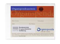 Durable Beschermhoes 213419 Transparant 1 stuk(s) - thumbnail