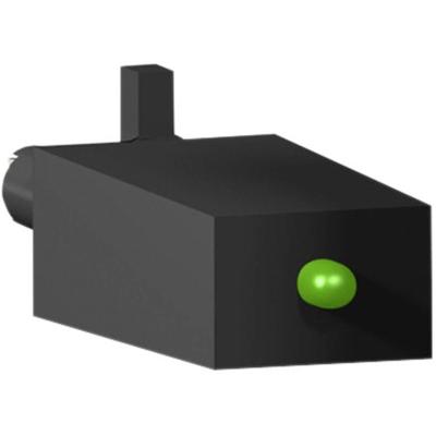 Schneider Electric RZM021RB 10 stuk(s)