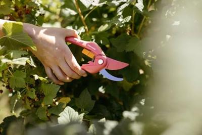 Fiskars Snoeischaar Bypass Ruby P26 - 1003657