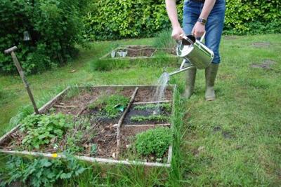 Gieter rvs / Esschert Design