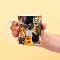Gift Republic Crazy Cat Lady Mok - thumbnail