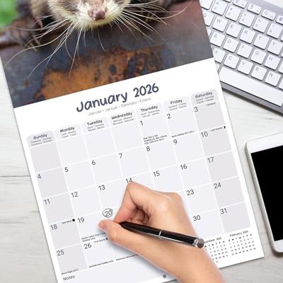 Ferrets Calendar 2026 Square Animal Wall Calendar - 16 Month