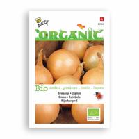 Biologische Ui Rijnsburger 5, bewaarui - thumbnail