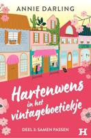 Samen passen - Annie Darling - ebook - thumbnail