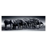 Clementoni legpuzzel panorama herd of giants, 1000st. - thumbnail