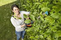 Gardena ComfortCut accu heggenschaar 60 cm - thumbnail