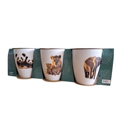 Mok Jungle, Set van 3
