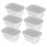 Rotho Freeze Diepvriesdozen 6x0.25L Transparant/Wit - thumbnail