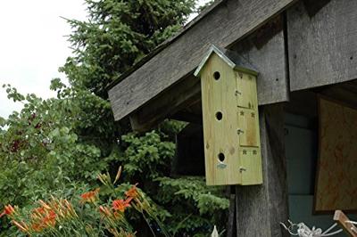 Vogelhuisje Mussen Esschert Design Best for Birds - Best for birds