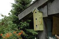 Nestkast Mussenvilla - thumbnail