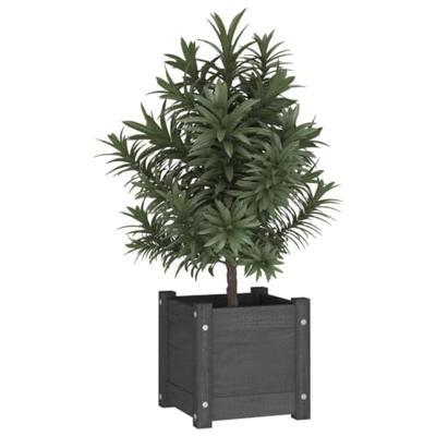 VidaXL Plantenbakken 2 st 31x31x31 cm massief grenenhout grijs VidaXL Plantenbakken 2 st 31x31x31 cm massief grenenhout grijs