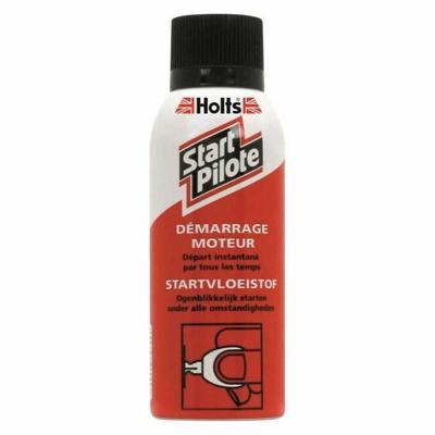 Behandeling Holts HL 1831609 150 ml