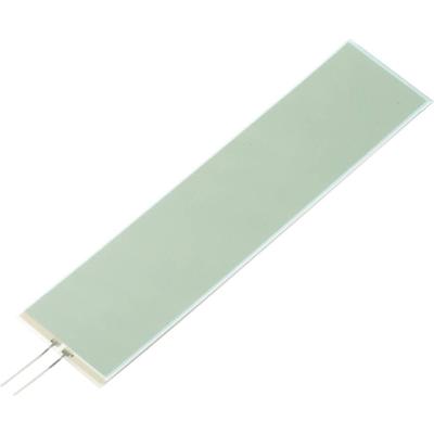 TRU COMPONENTS Lichtfolie Groen (l x b x h) 138 x 34 x 0.5 mm TRU COMPONENTS Lichtfolie Groen (l x b x h) 138 x 34 x 0.5 mm