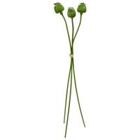 Kunst Papaver bundel x 3 55cm groen - thumbnail