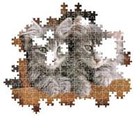 Clementoni legpuzzel kittens, 500st. - thumbnail