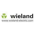 Wieland Electric WIPOS PB1 12-2 Schakelnetvoedingsmodule 12 V 2 A 24 W Inhoud: 1 stuk(s) - thumbnail