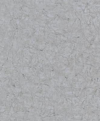 Noordwand Vintage Deluxe; The New Textures Book Behang cracquelé - 32805