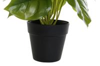 Decoratieve plant DKD Home Decor PVC Polypropyleen 20 x 20 x 30 cm - thumbnail