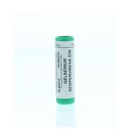 Gelsemium sempervirens D30 - thumbnail