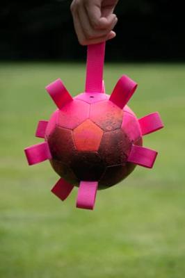 Dog Comets Hondenbal Hypernova, roze
