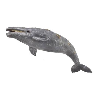 Collecta Zeedieren Grijze walvis 23 cm Collecta Zeedieren Grijze walvis 23 cm