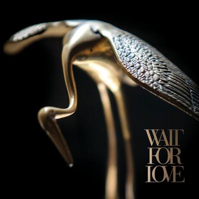 Wait For Love - LP (8714092754438) Wait For Love - LP (8714092754438)