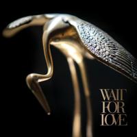 Wait For Love - LP (8714092754438) - thumbnail