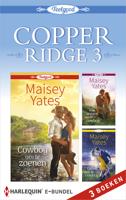 Copper Ridge 3 - Maisey Yates - ebook - thumbnail