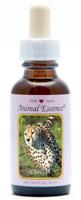 Animal Essences Cheetah (jachtluipaard) 30 Milliliter - thumbnail