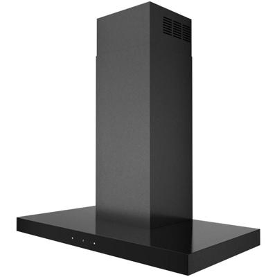 ATAG WS90212MS Wandschouw Afzuigkap ATAG WS90212MS Wandschouw Afzuigkap