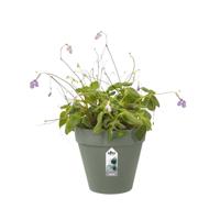 Elho Loft Urban wall single pot 15cm groen - thumbnail
